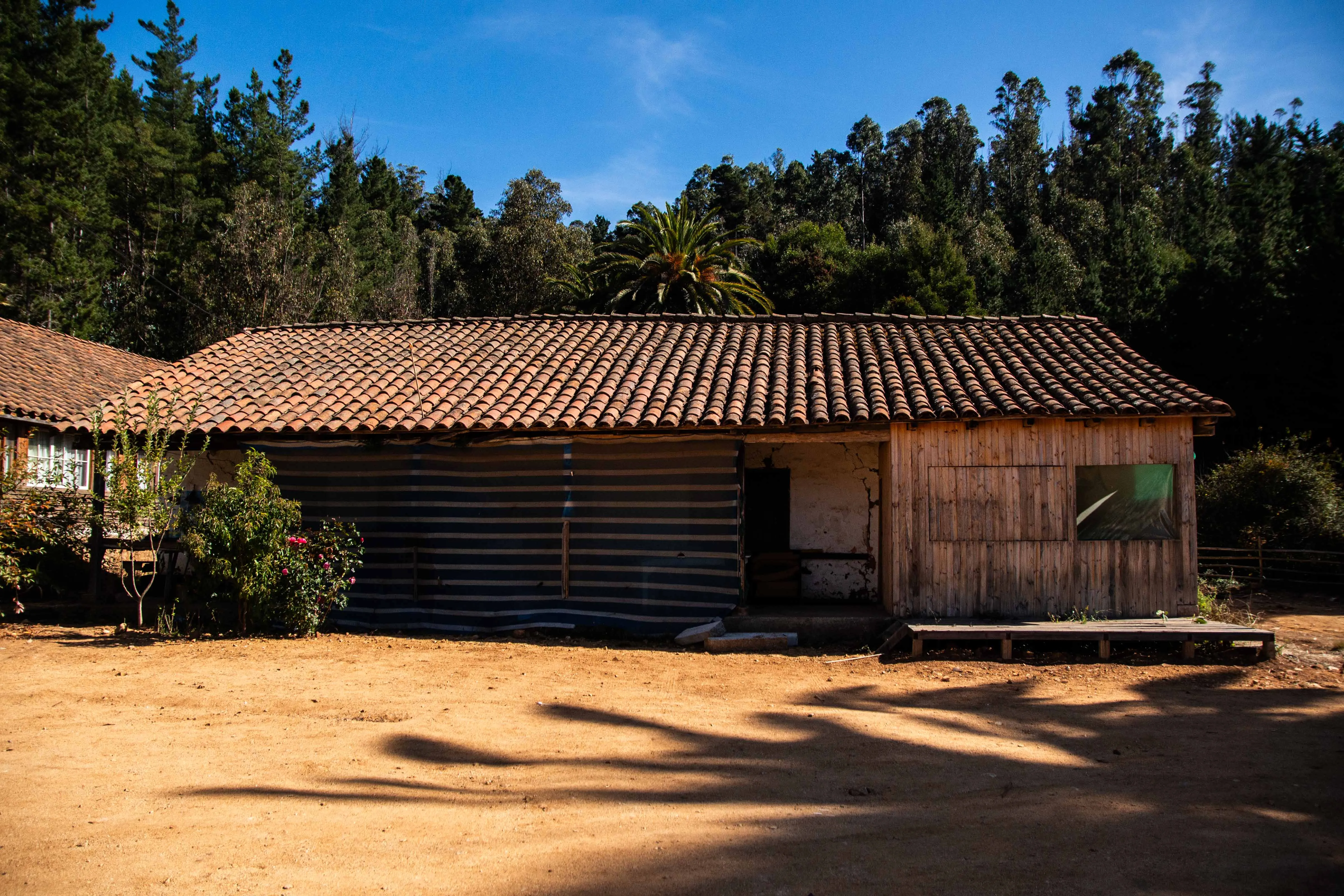 Casa Ciruelo al lado de Iglesia IV