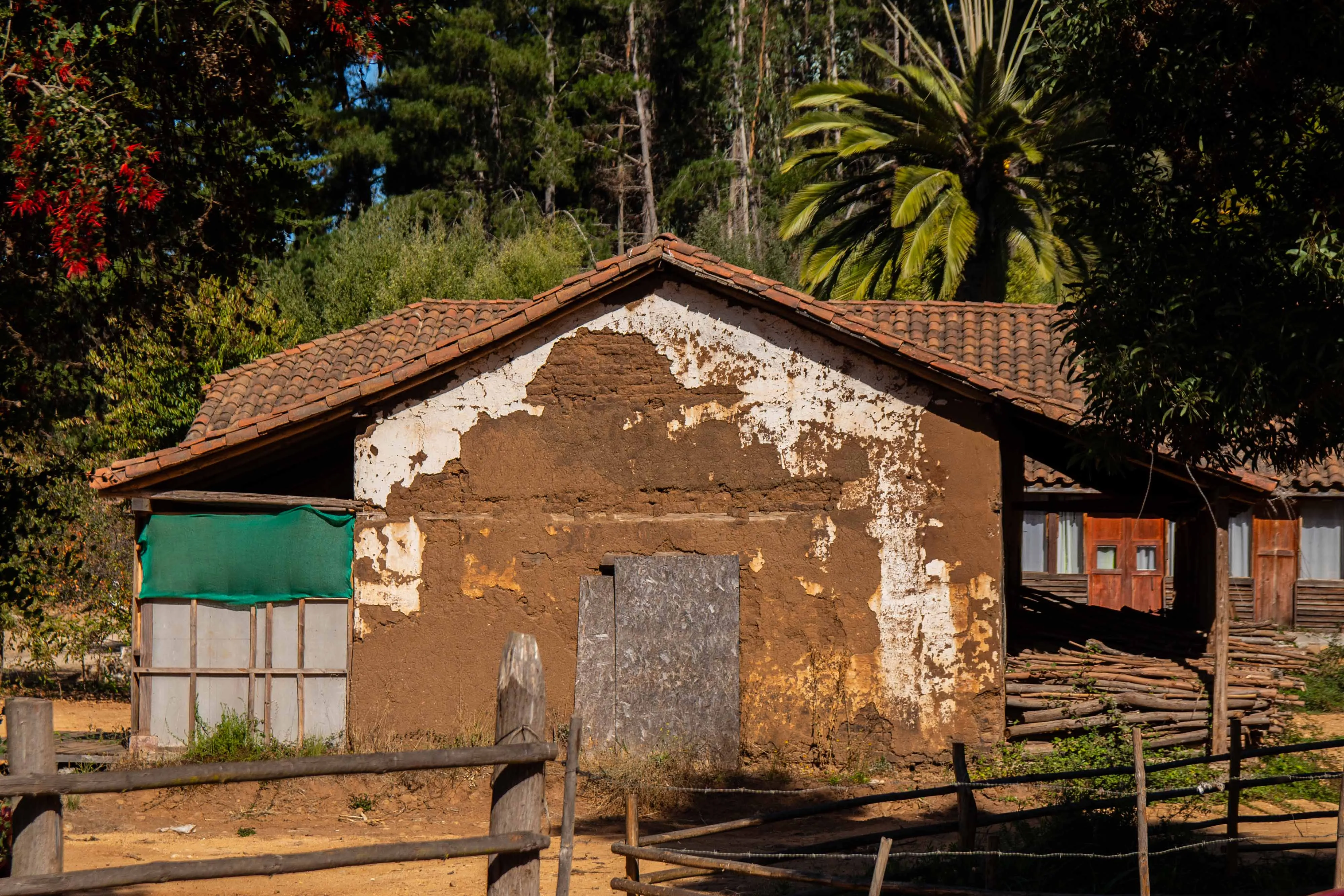 Casa Ciruelo al lado de Iglesia VI