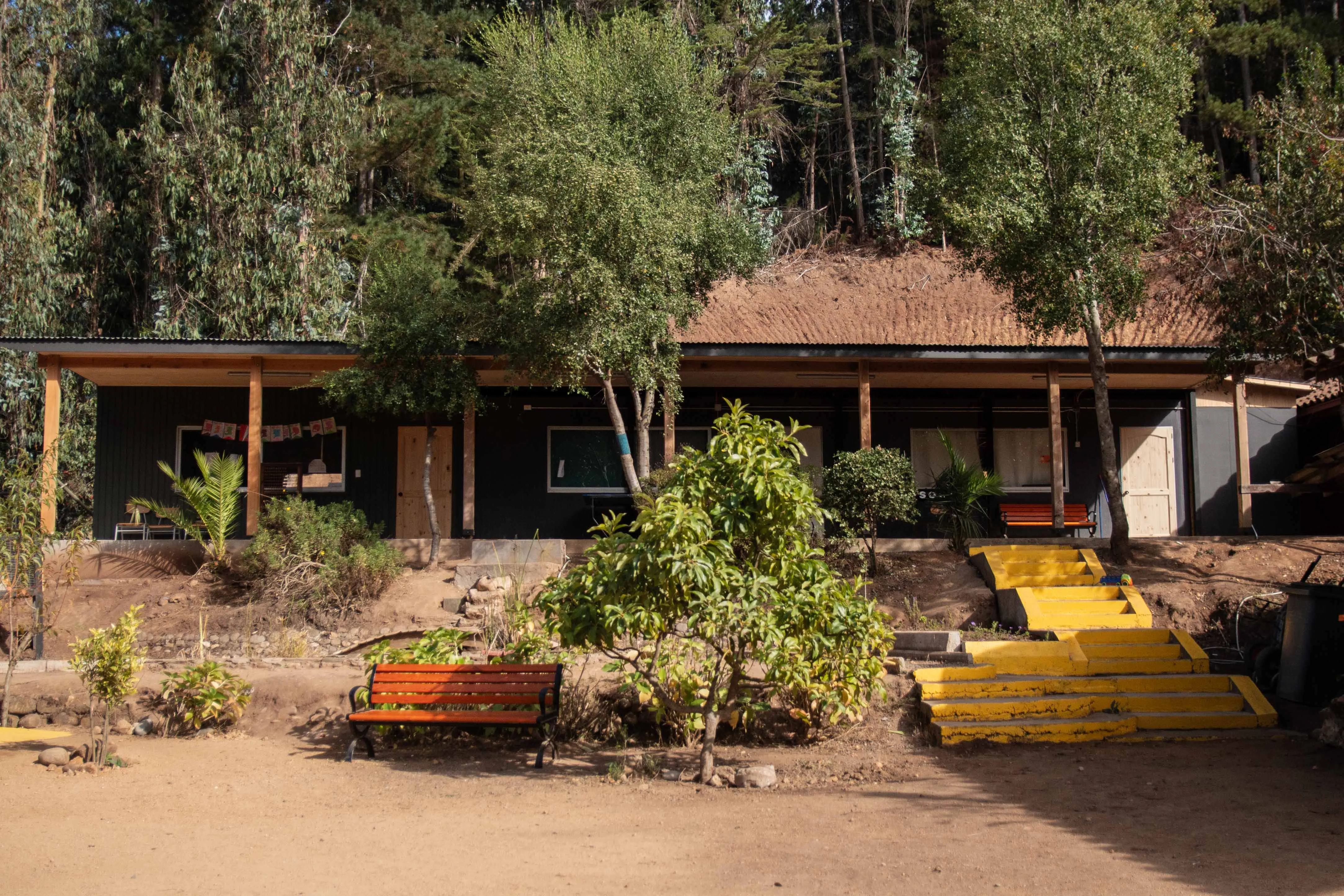 Escuela Ciruelo VIII